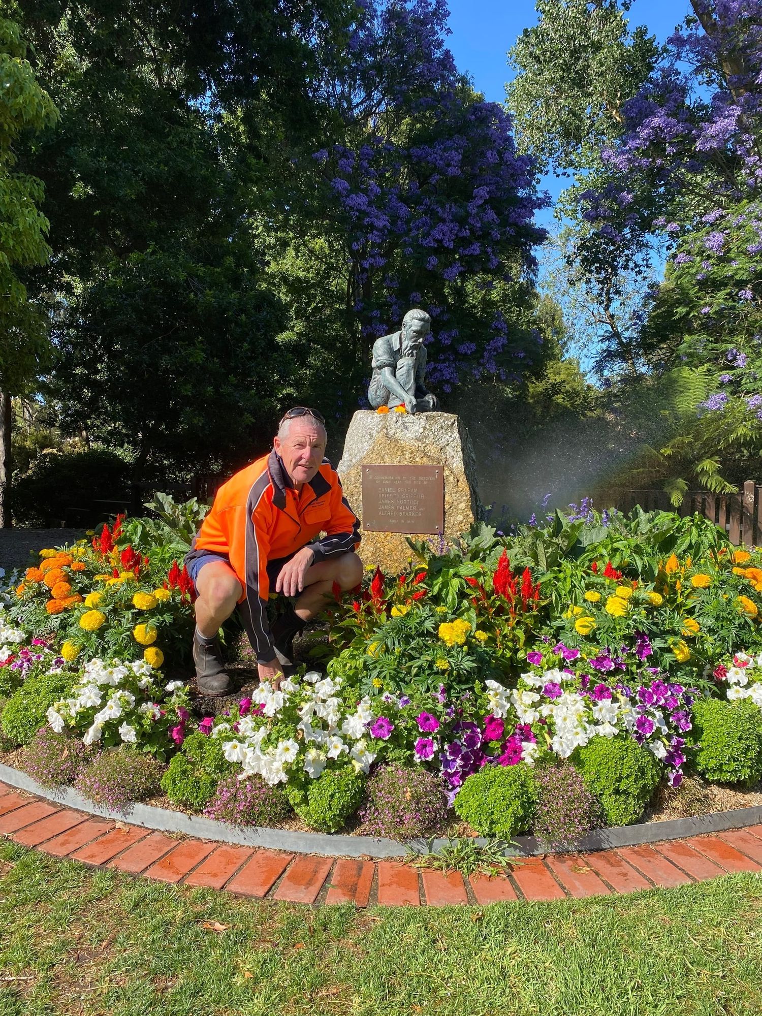 Plants stolen from Foster gardens
