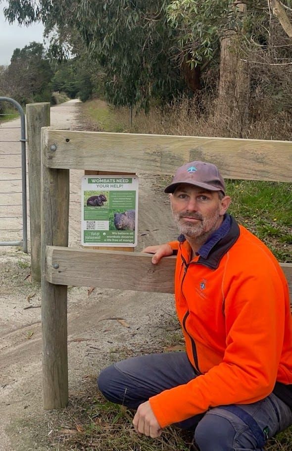 Combatting wombat mange on the rail trail