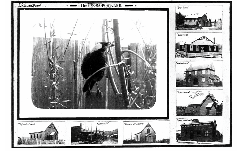 What would you put on a postcard of Toora?