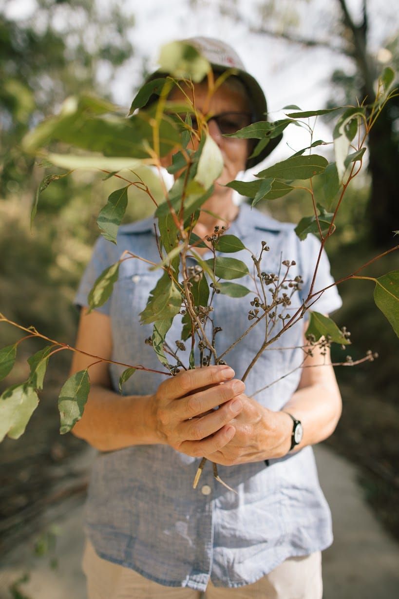 Almost $340,000 in Landcare grants to restore West Gippsland's landscapes
