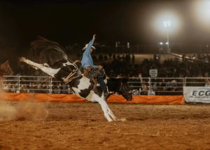 Farm World 2025 Returns to Lardner Park This March