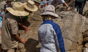 Local geologist remembered at Walkerville beach walk