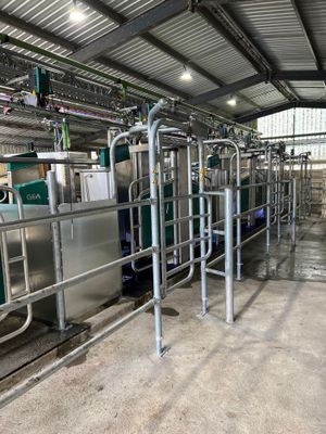 Robots in the dairy?