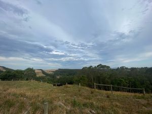 Australia's first national ecosystem accounts reveal the value of our natural assets