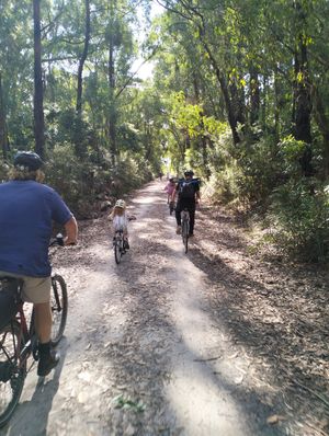 Uncovering the Great Southern Rail Trail’s natural gems