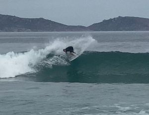 Squeaky times for the South Coast Boardriders