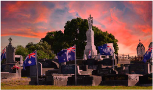Flags of Remembrance: A Silent Salute to the Fallen