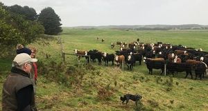Pilot program helps farmers beef up carbon capture