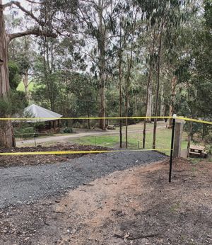 Latest news from the Friends of Agnes Falls