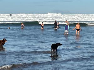 Venus Bay’s morning swimmers go for cold
