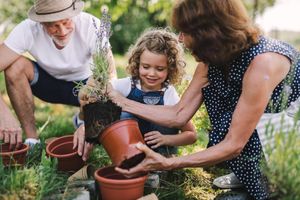 2025 Victorian Senior of the Year Awards nominations now open