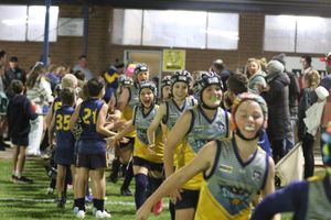 Corner Inlet Stingrays