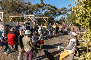 Flock, stock and reveg