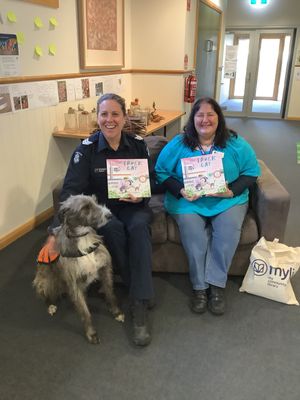 A quarter century of simultaneous story-telling