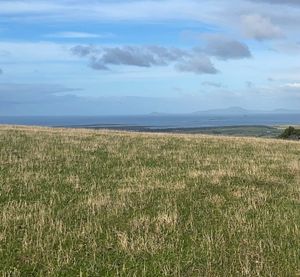 State government expands drought support as farmers face worsening conditions