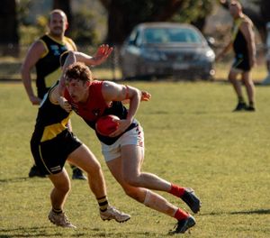 MGFNL - Seniors roundup