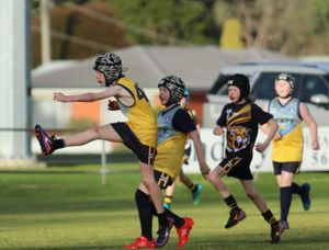 Corner Inlet Stingrays Match Reports