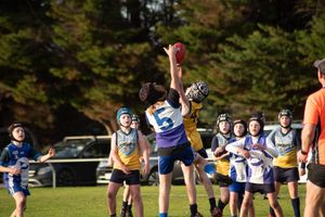 Corner Inlet Stingrays Match Reports