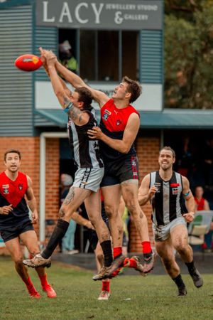 Seniors Footy Roundup