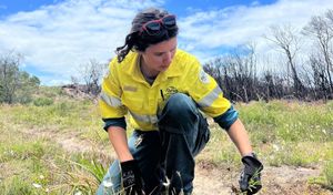 Promising start for Prom Sanctuary