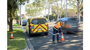 Pine in the bum: Pines a growing problem for South Gippsland's environment