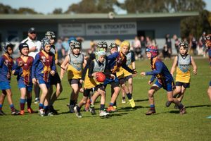 Corner Inlet Stingrays match reports