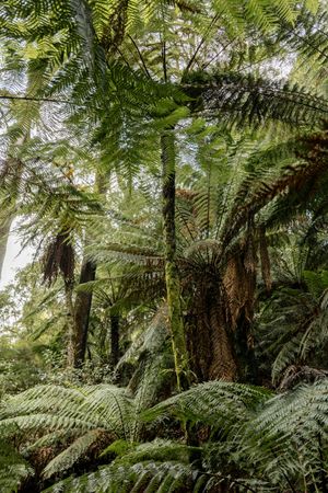 Council axes conservation covenant rates rebate