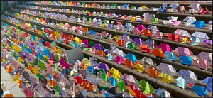 Gippsland’s youth homelessness and suicide crisis