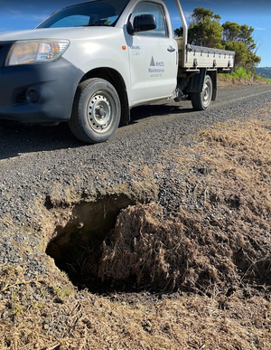 Wombat burrow fixed in record time as state launches major road blitz