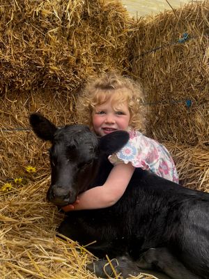 Poddies, pumpkins and pictures at the Foster Show