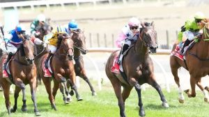 The Stony Ponies are off and racing!