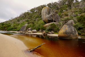 Explore the Prom's ancient geology with free guided beach walks
