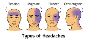 Move well, live well