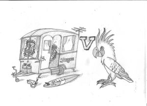 The view from Cement Hill