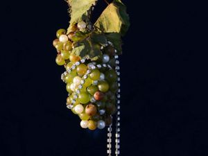 Bacchus exhibition celebrates wine, earth and the human condition