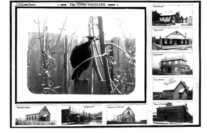 What would you put on a postcard of Toora?