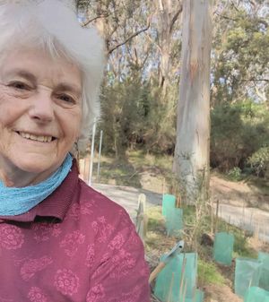 End of an era as Friends of Agnes Falls winds up after 14 years