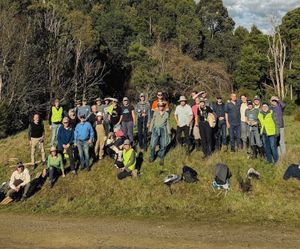 Community volunteers restore Wet Forest habitat at Battery Creek