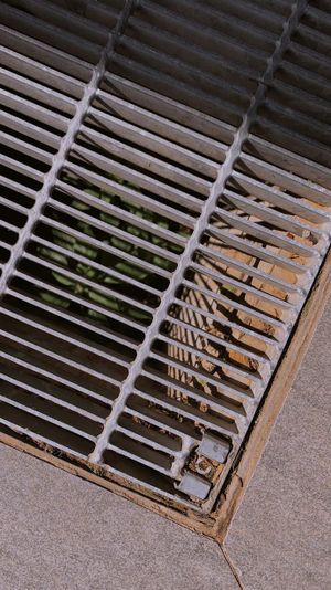 Fish Creek takes its sewage problem to Council