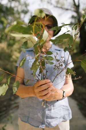 Almost $340,000 in Landcare grants to restore West Gippsland's landscapes