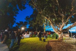 Cool trees and hot summers