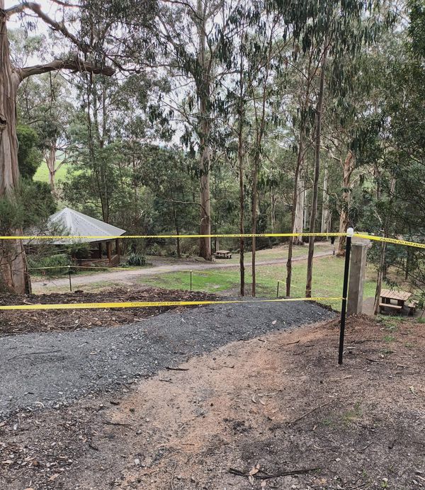 Latest news from the Friends of Agnes Falls