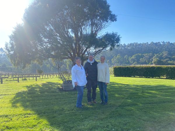 New beginnings for Waratah Hills Vinyard