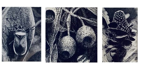 THREE: The work of Ken Roberts and Luke Dearlove at Stockyard Gallery