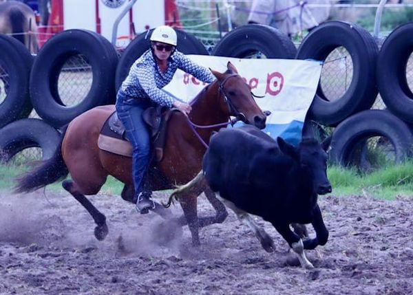 Gear up for Campdraft action at Yanakie