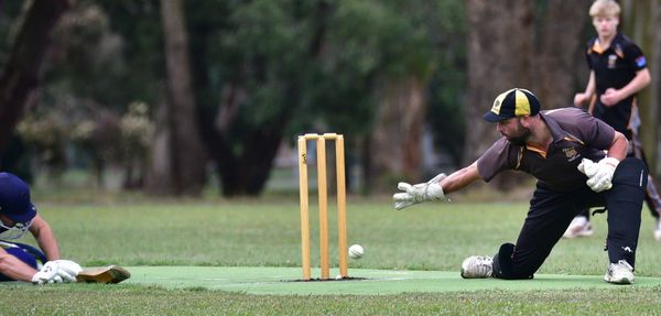 Cricket round up
