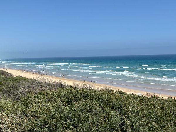 No. 4 Beach tragedy: Boy lost at Venus Bay