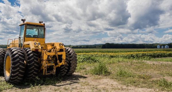 Fuel crisis hits local fishermen and dairy farmers hard