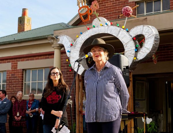 "Wise woman work": Walkerville's Joan Liley awarded OAM for services to community and environment