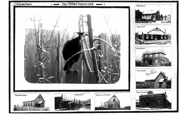 What would you put on a postcard of Toora?